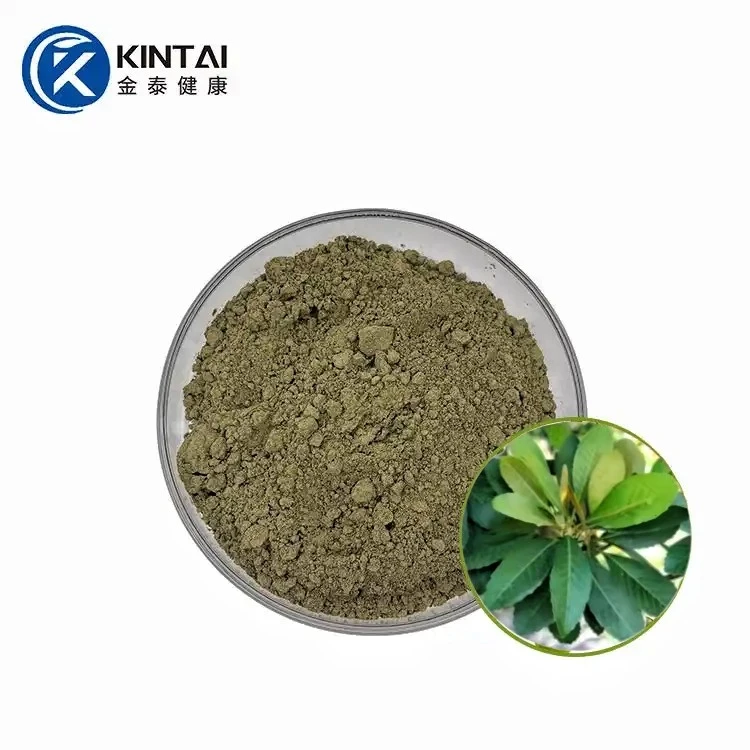 Loquat Leaf Extract suppliers